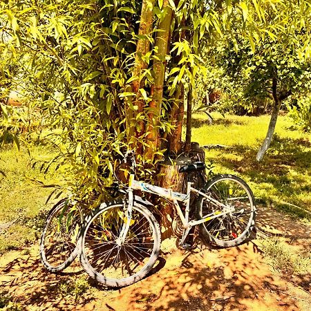 Eco House Summer Garden Kaji-Say Luaran gambar
